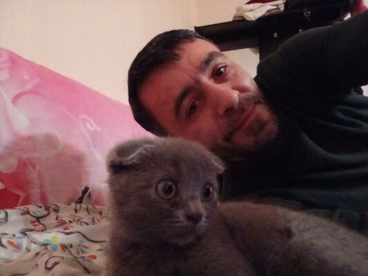  ,   Ismail, 43 ,   ,   , c , 