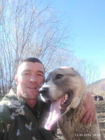  42973285  VLADIMIR, 37 ,    