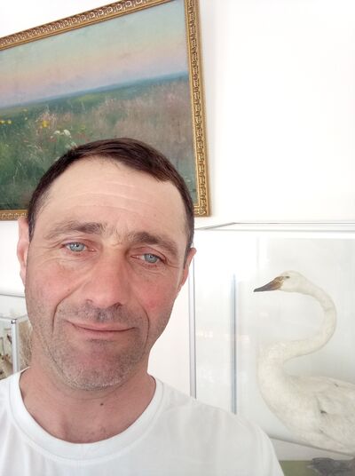  ,   , 47 ,   ,   