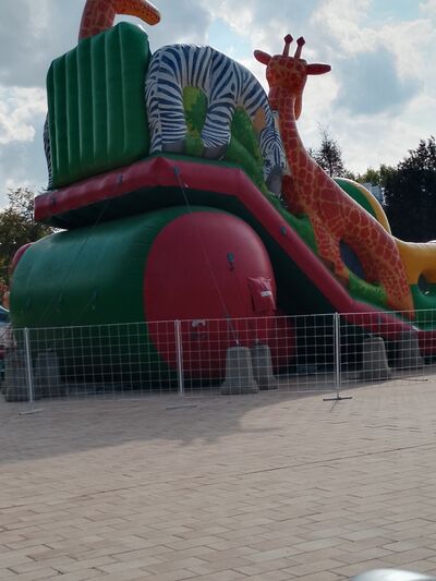  ,   , 41 ,   c , 