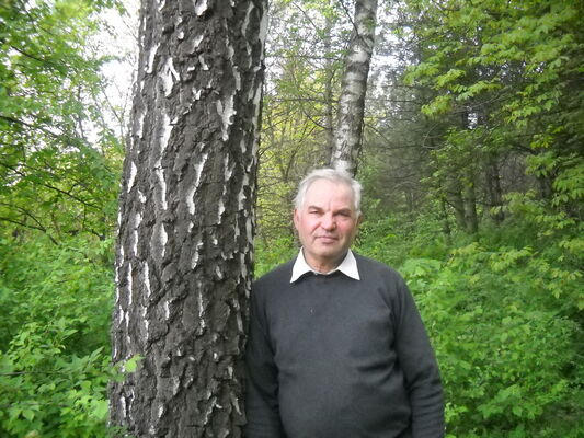  ,   Pico, 65 ,   ,   , c 