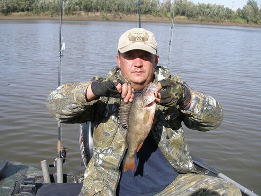  ,   Nik, 46 ,   