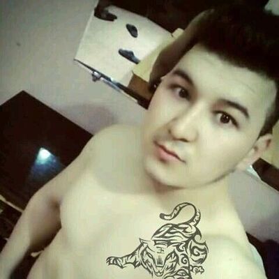  ,   Shoxrux, 32 ,   ,   , c 