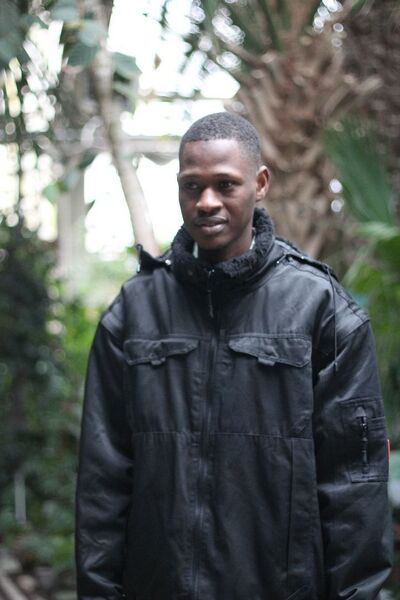  ,   Papiss, 31 ,   ,   