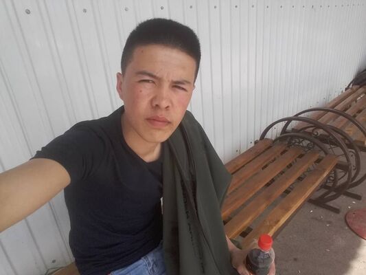  -,   , 33 ,   
