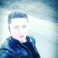  13381785  , 26 ,    