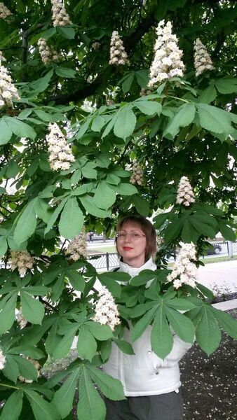  ,   , 53 ,   ,   , c 