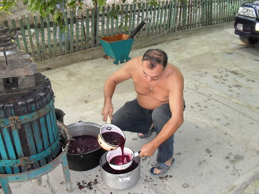  ,   , 61 ,   ,   , c , 