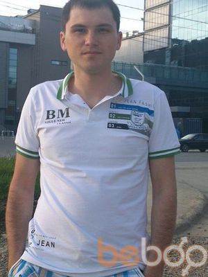  3316405  , 36 ,    -