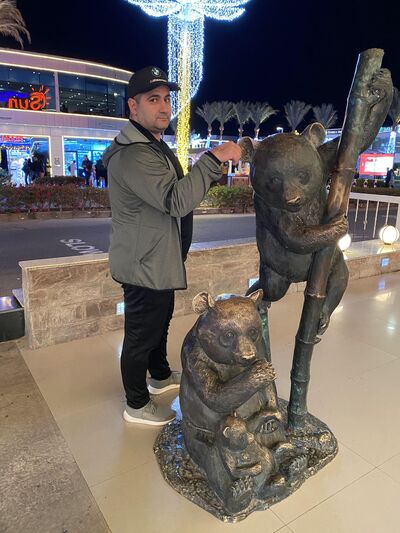  ,   Art, 43 ,   ,   