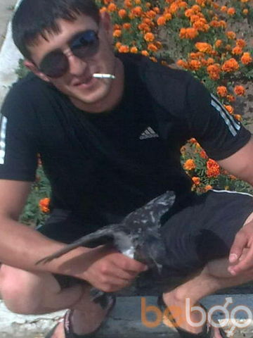 ,   Hovo, 37 ,     , c 
