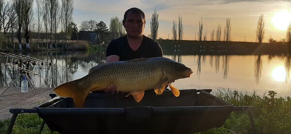  ,   , 38 ,   c 
