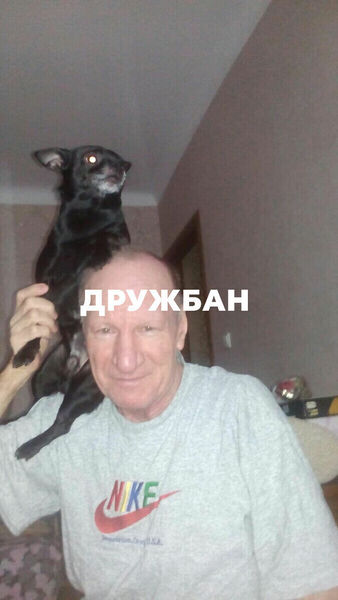  ,   , 71 ,   ,   , c 