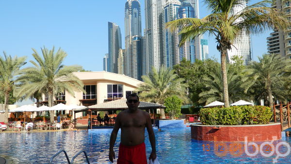  3299585  , 52 ,    -