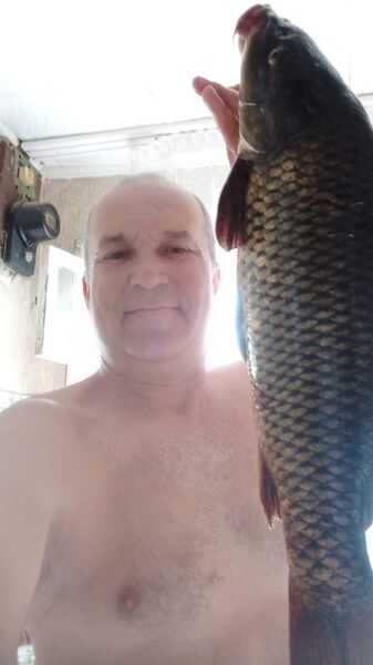  ,   , 59 ,   c , 