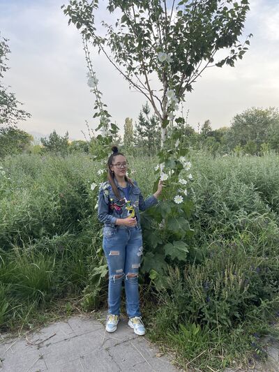  ,   , 22 ,   ,   , 
