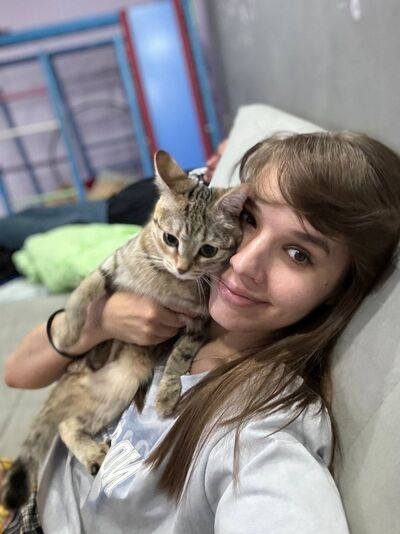  ,   , 46 ,   ,   , 