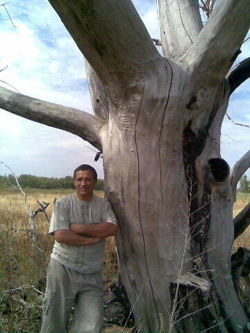  ,   , 58 ,   
