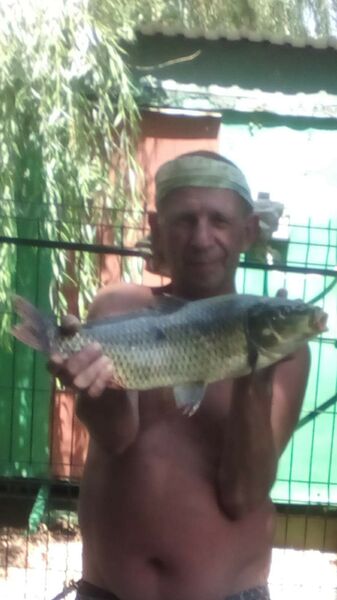  ,   , 59 ,   ,   