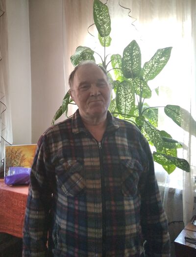  ,   , 73 ,   ,   