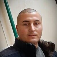  ,   Shamil, 36 ,   ,   , c 