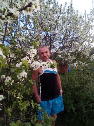  -,   , 65 ,     , c 