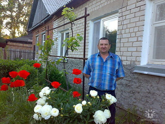  ,   , 62 ,   ,   