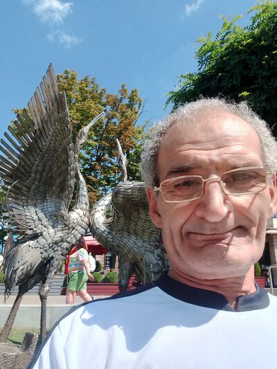  --,   Vart, 61 ,   ,   