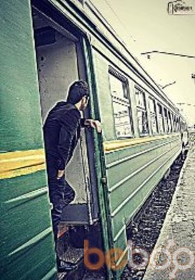 ���������� ����, ���� ������� Cavid, 34 ����, ������������ ��� ������, ����� � ���������, c�������� ���������