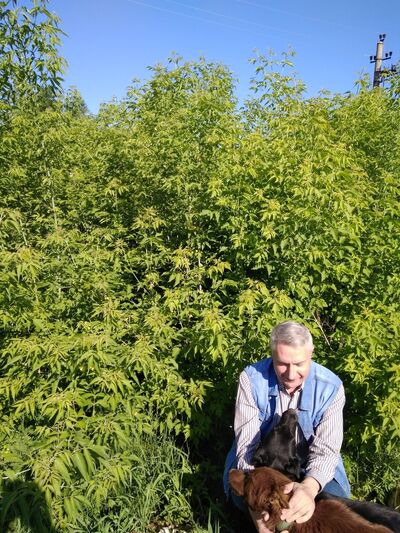  ,   , 62 ,   ,   , c 