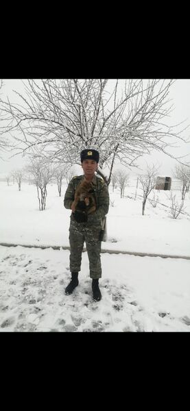  ,   Mahmyt, 20 ,   ,   