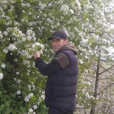  ,   Faer, 44 ,   , 