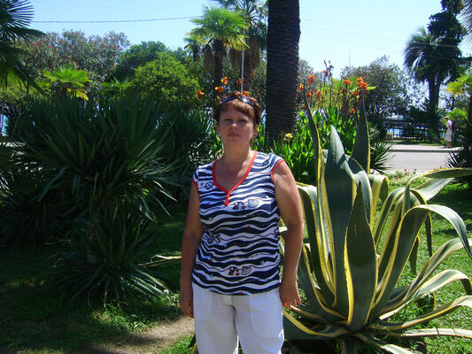  ,   , 54 ,   ,   , c 