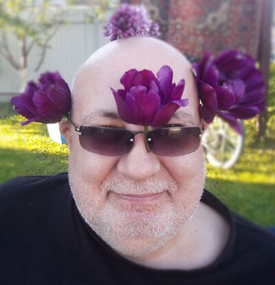 -,   , 48 ,   , 
