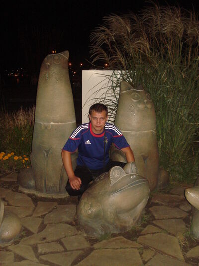  ,   Shark, 42 ,   ,   , c , 
