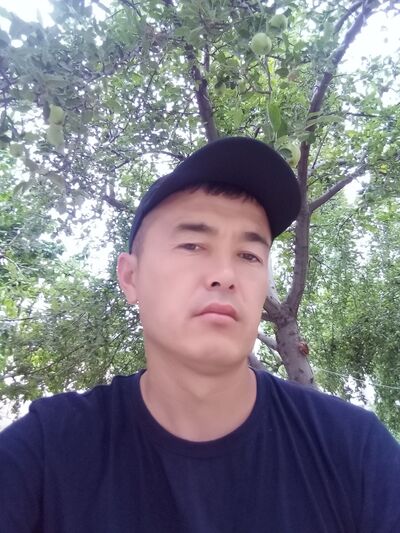  -,   , 41 ,   ,   , c 
