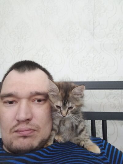 ,   , 41 ,     , c 