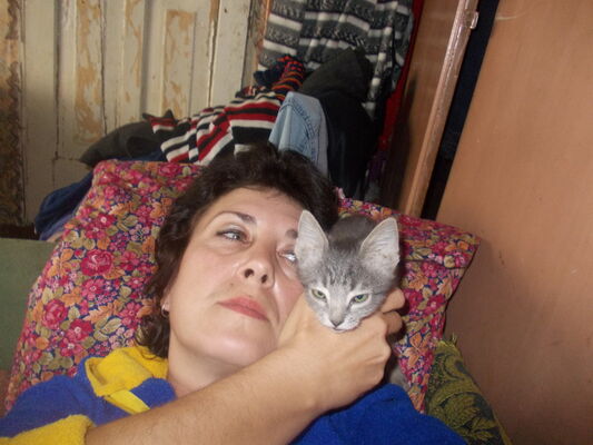  ,   , 55 ,   ,   , c 