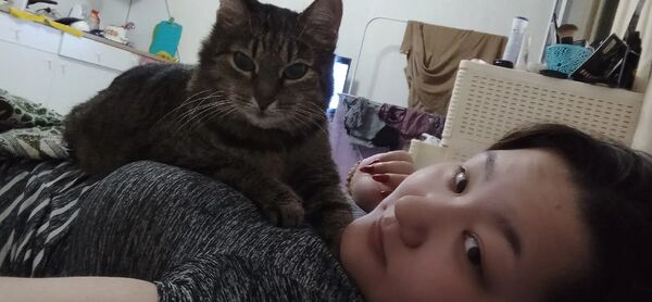  ,   , 31 ,   ,   