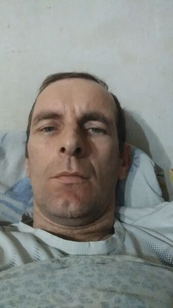  ,   , 46 ,   