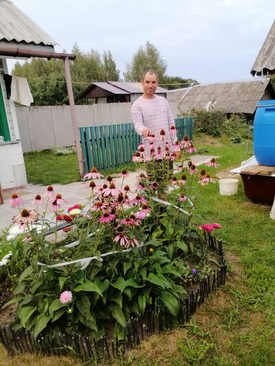  ,   , 42 ,   c 