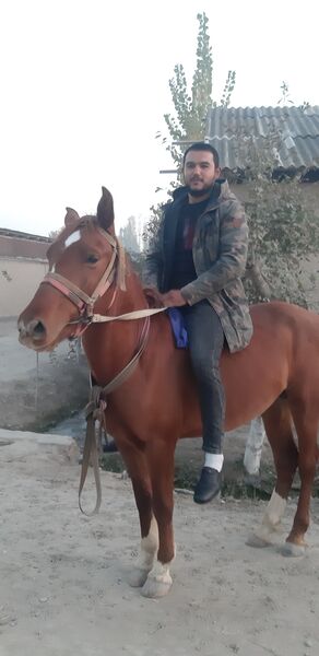  -,   Mikhail, 33 ,     , c , 