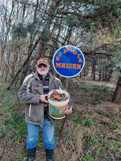  ,   , 62 ,   ,   , c 