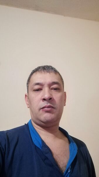  -,   , 49 ,   ,   