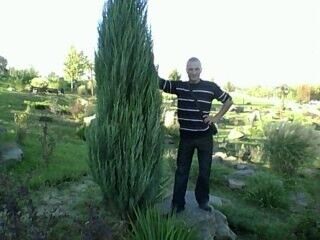  ,   Informer, 37 ,   
