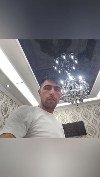  ,   VOLK, 33 ,   ,   , c 