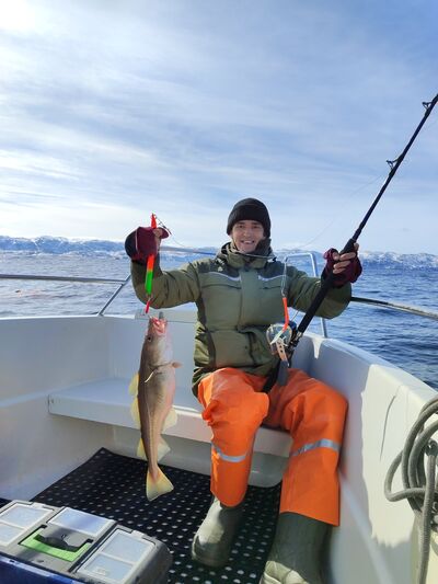  -,   , 37 ,   ,   , c 