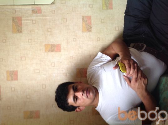  ,   Ulmas, 40 ,   ,   , c , 