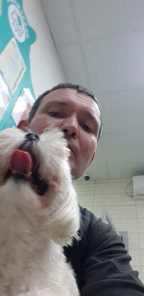  ,   , 47 ,   