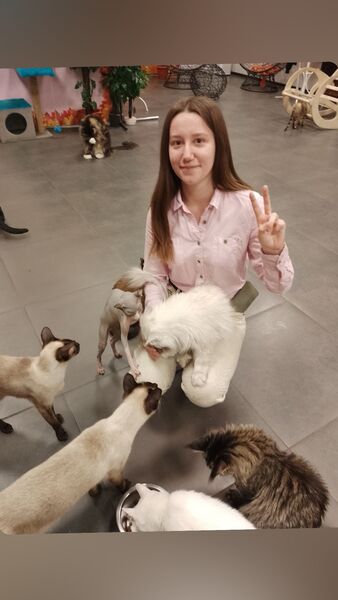  ,   , 23 ,   ,   , 